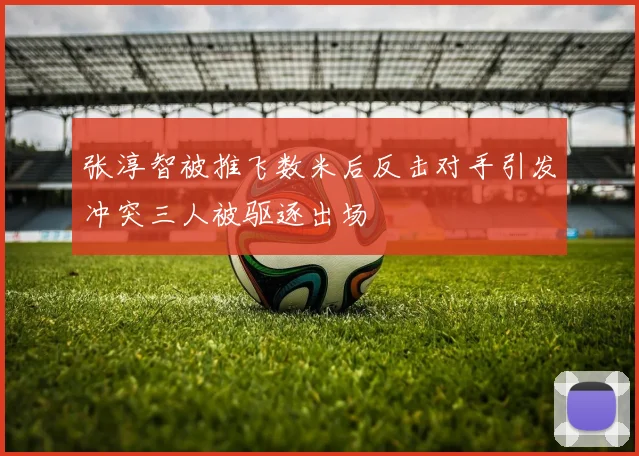 张淳智被推飞数米后反击对手引发冲突三人被驱逐出场